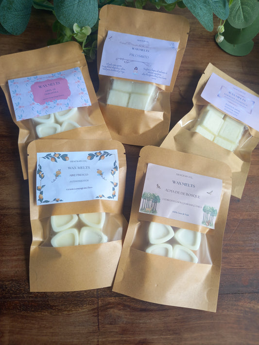 Wax Melts Bombones artesanales